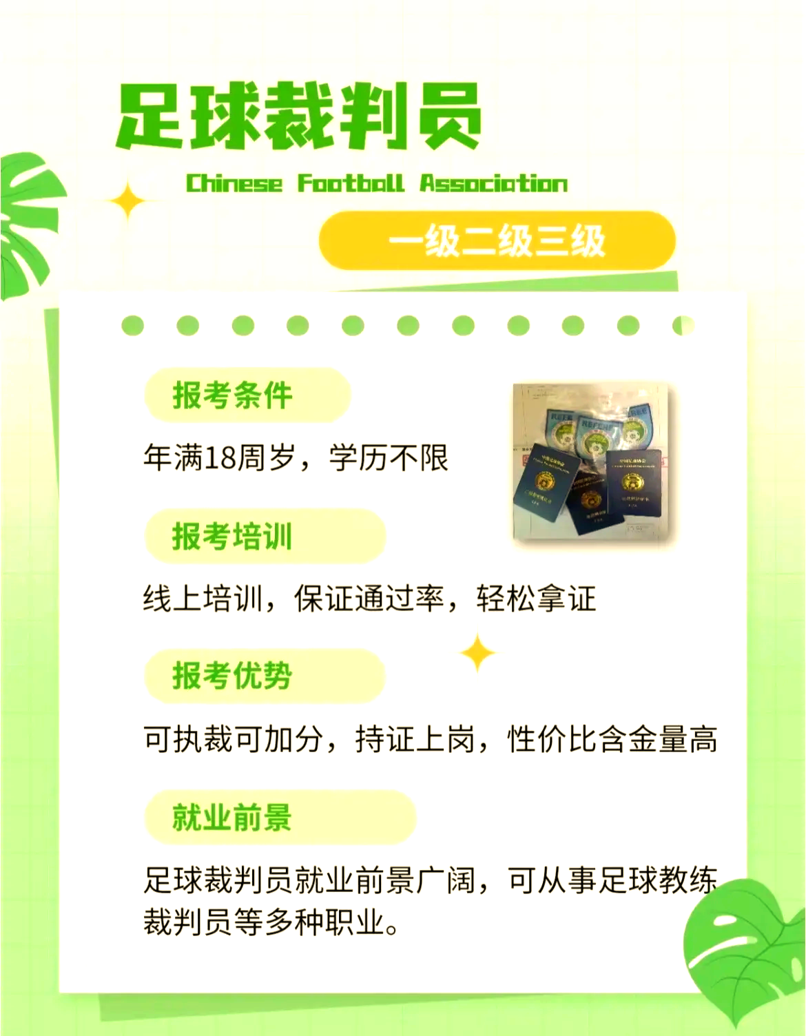 开云网页版登录入口-包含全国青少年足球裁判员培训示范体系正式实施的词条