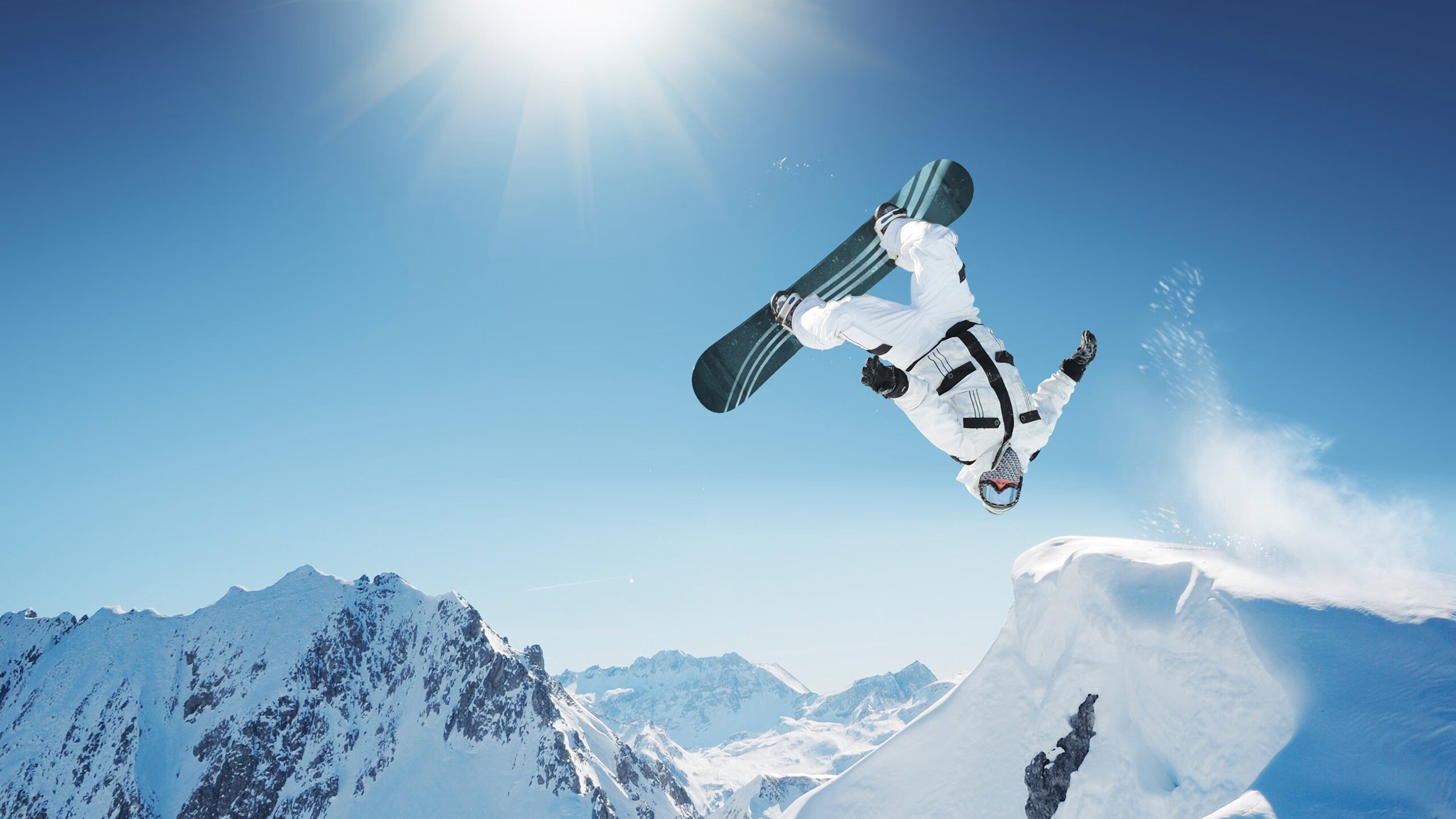 德国马术队在2024年欧洲三项赛锦标赛中以“Team Spirit”马匹获得团体银牌，展现强大实力。