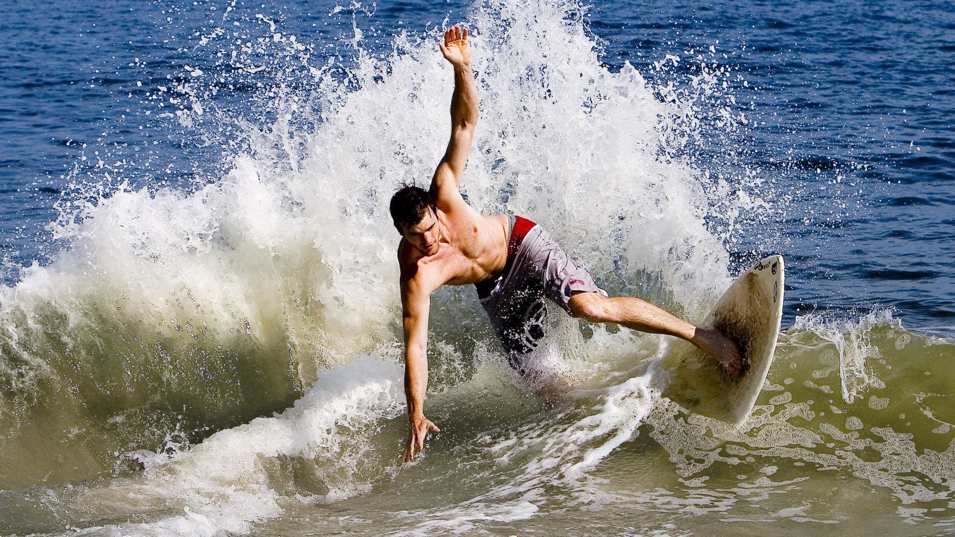 开云网页版登录入口-福建鲟龙团队配合更加默契，福建龙鳇鲟业董事长