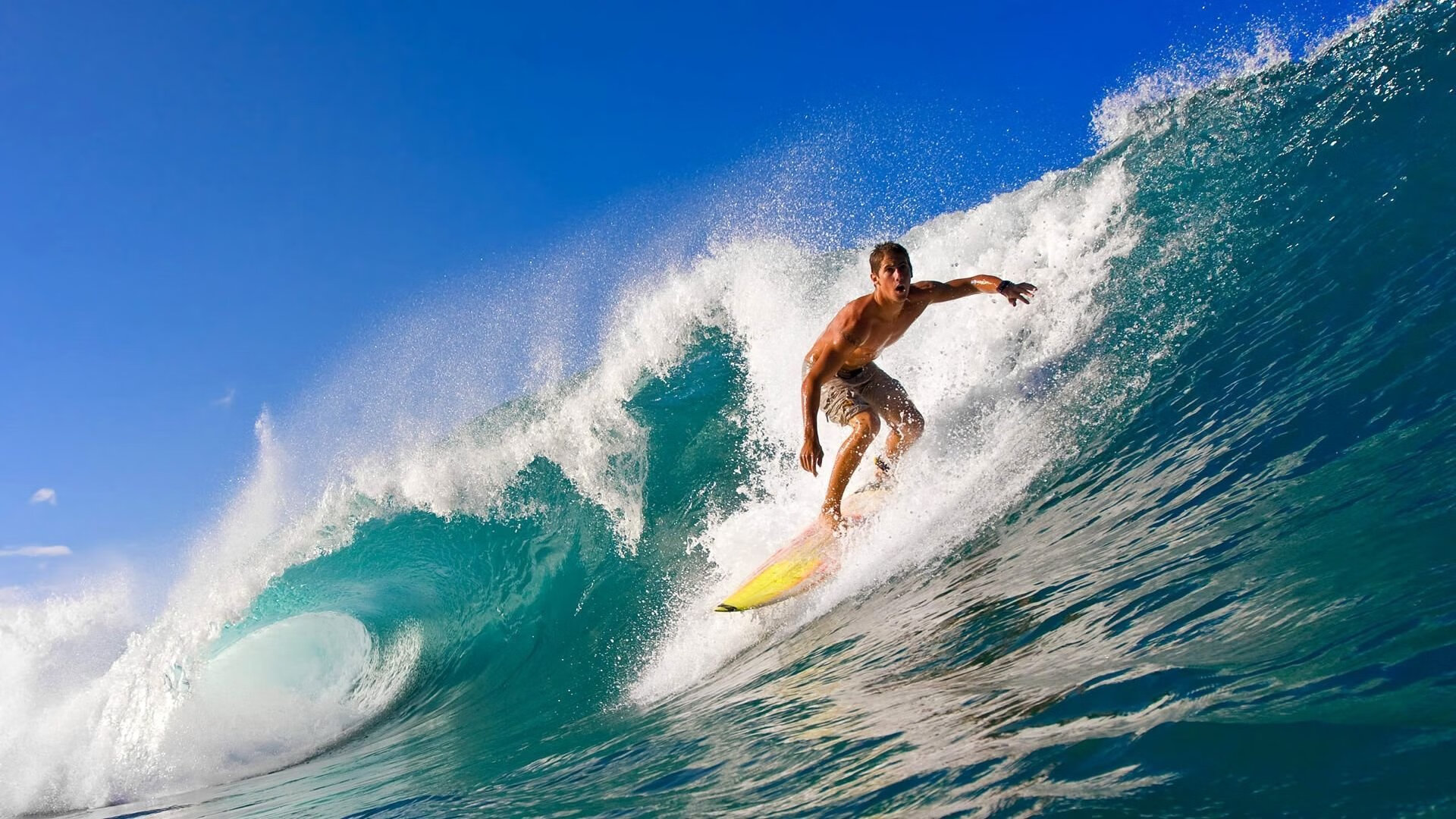 体育文化传承弘扬民族精神,体育文化传承弘扬民族精神心得体会